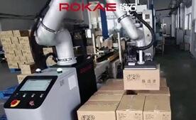 星空电竞协作码垛典型应用：清洁用品纸箱码垛
